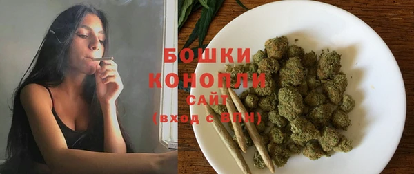 СК Арсеньев