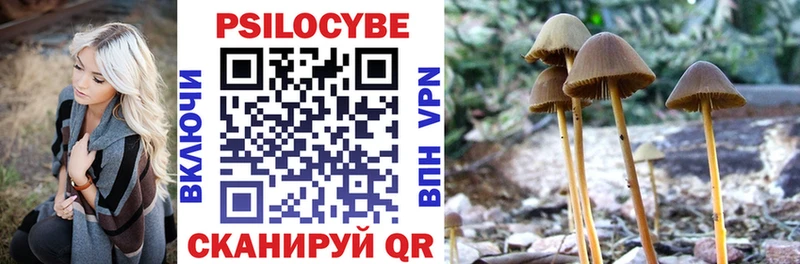 где купить наркоту blacksprut зеркало Галлюциногенные грибы мицелий Павловский Посад